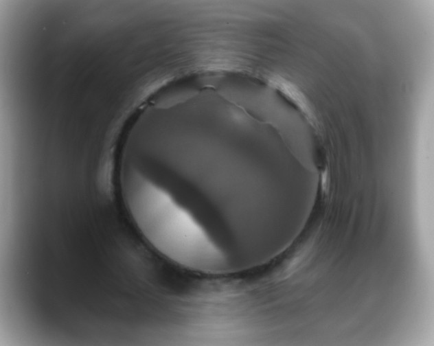 X0000088630627200706011145