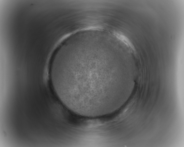 X0000088630628200706011145