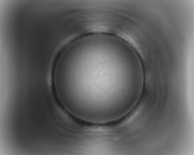 X0000088630629200706011145