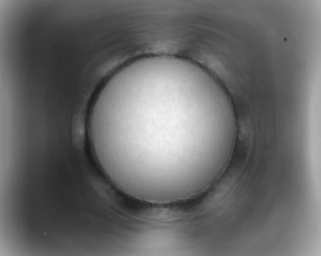 X0000088630632200706011145