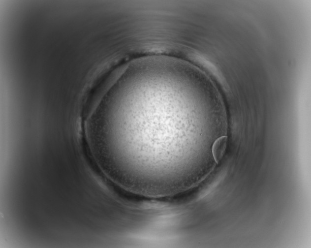 X0000088630633200706011145