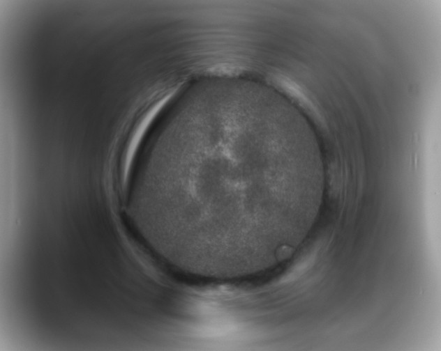 X0000088630634200706011145