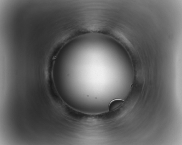 X0000088630635200706011145