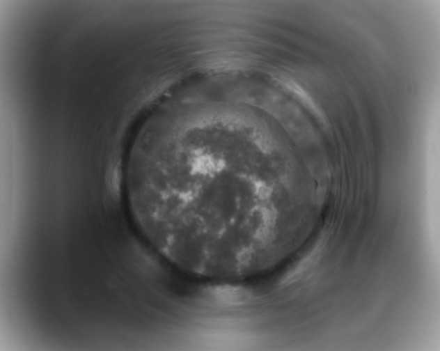 X0000088630637200706011145