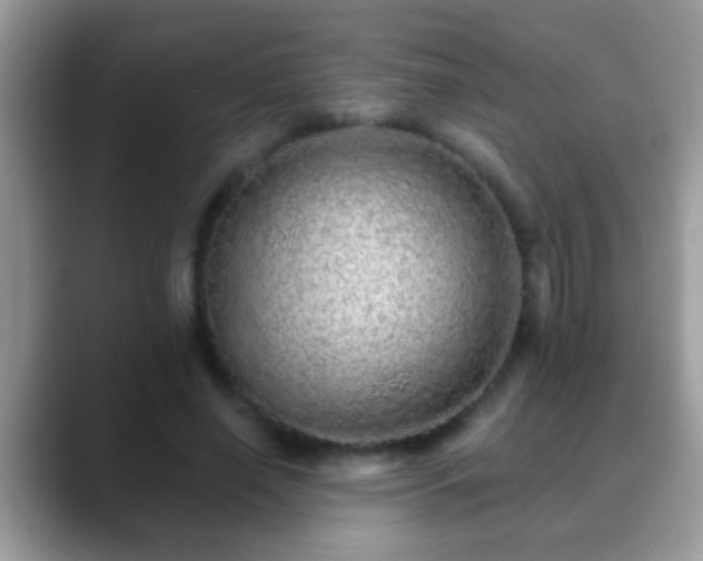 X0000088630638200706011145