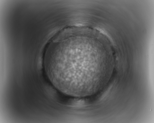 X0000088630640200706011145