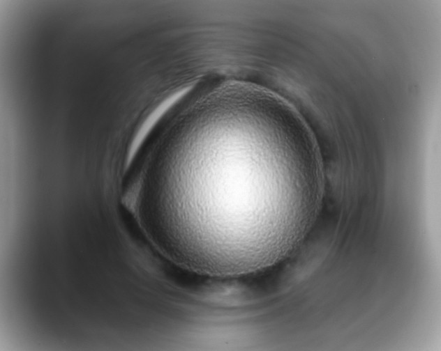 X0000088630642200706011145