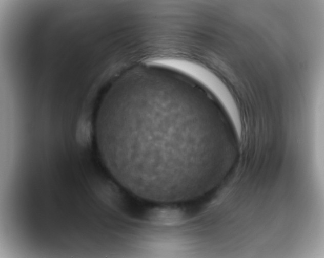 X0000088630644200706011145