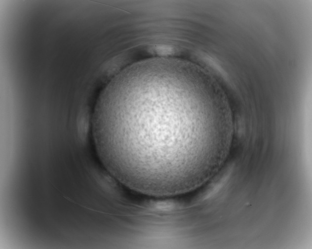 X0000088630645200706011145