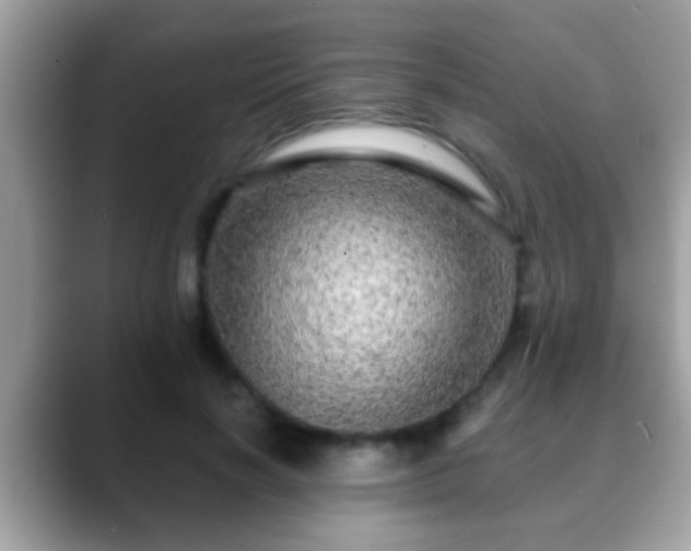 X0000088630646200706011145