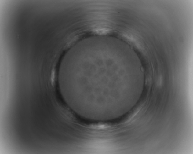 X0000088630647200706011145