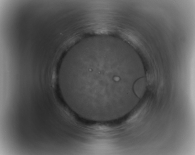 X0000088630648200706011145