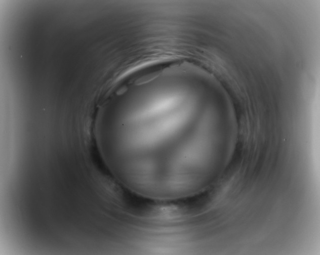 X0000088630650200706011145