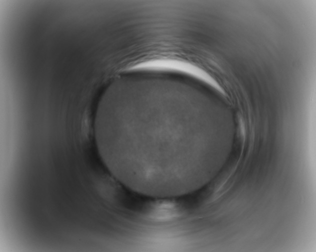 X0000088630651200706011145