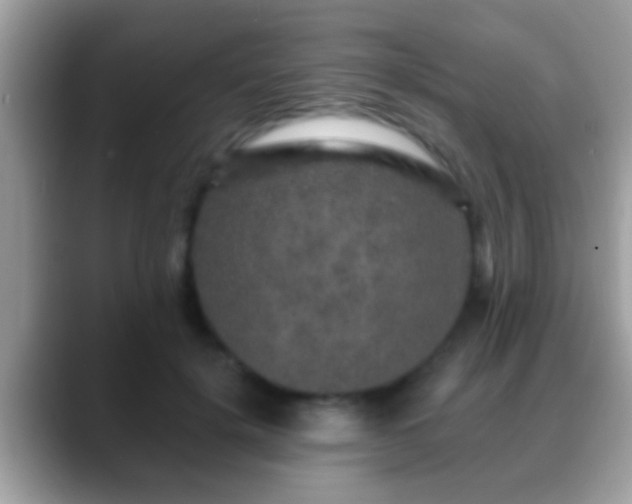 X0000088630652200706011145