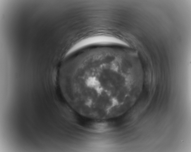 X0000088630653200706011145