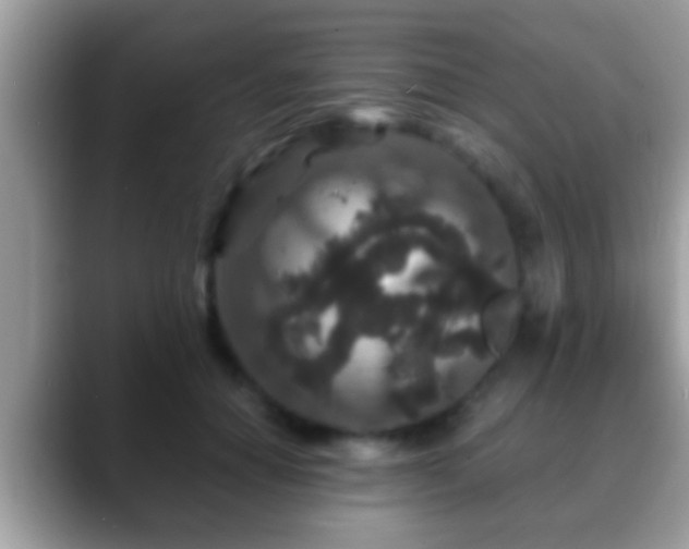 X0000088630654200706011145