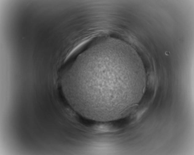 X0000088630655200706011145