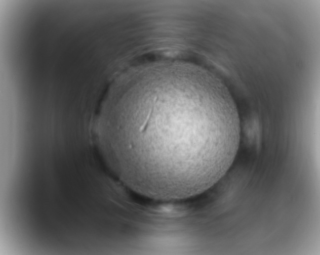 X0000088630657200706011145