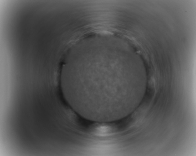 X0000088630658200706011145