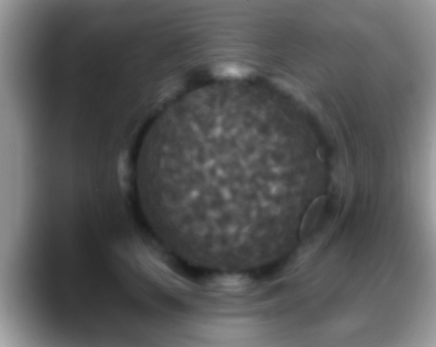 X0000088630659200706011145