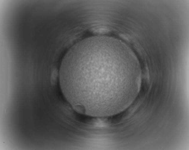 X0000088630660200706011145