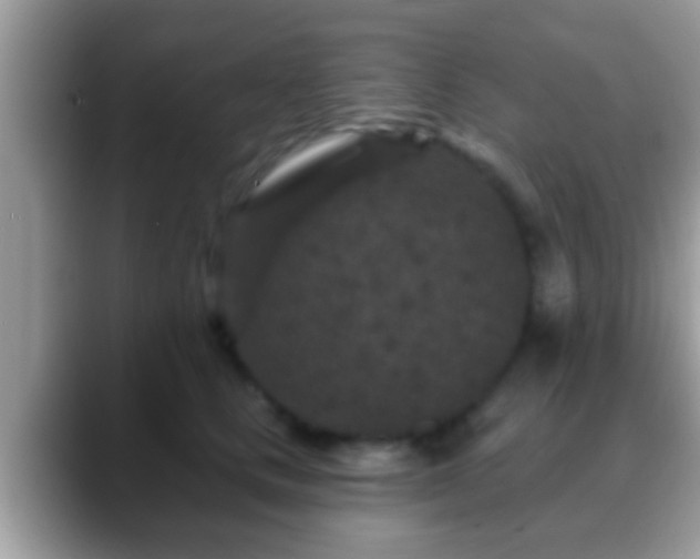 X0000088630661200706011145