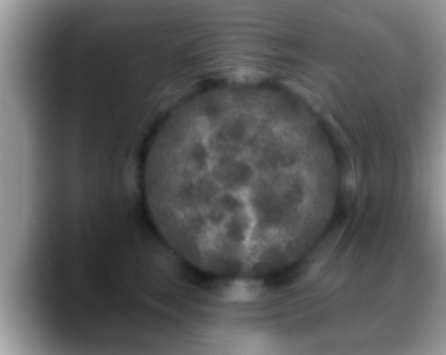 X0000088630663200706011145