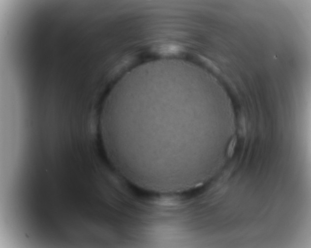 X0000088630664200706011145