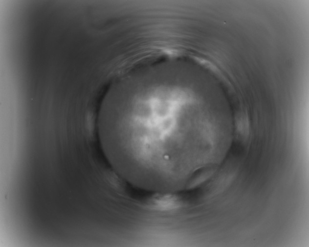 X0000088630667200706011145