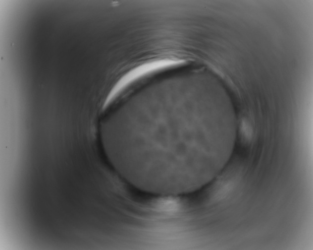 X0000088630668200706011145