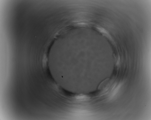 X0000088630669200706011145