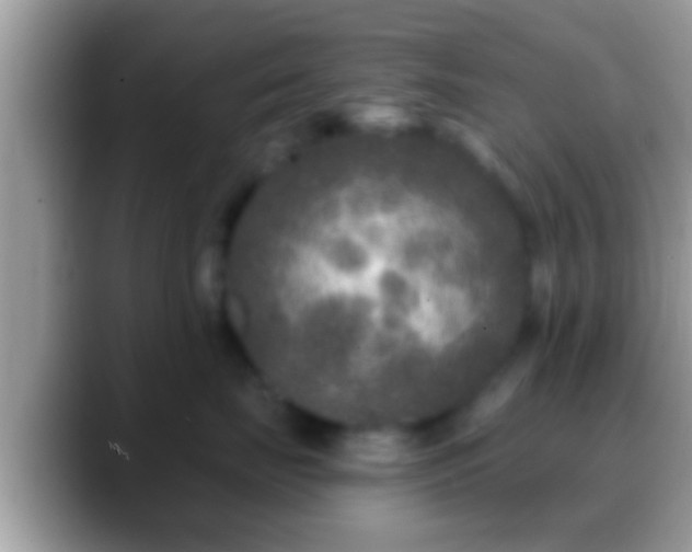 X0000088630671200706011146