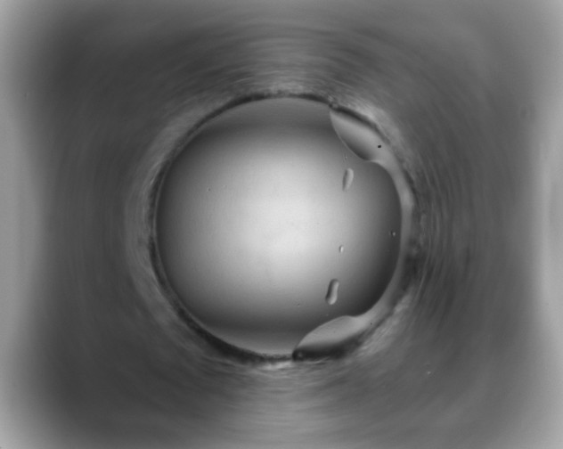 X0000088630673200706011145