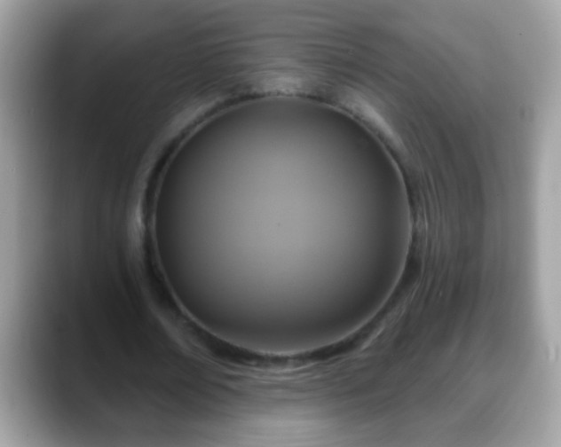 X0000088630674200706011145