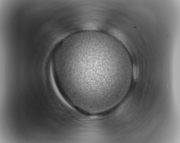 X0000088630675200706011145