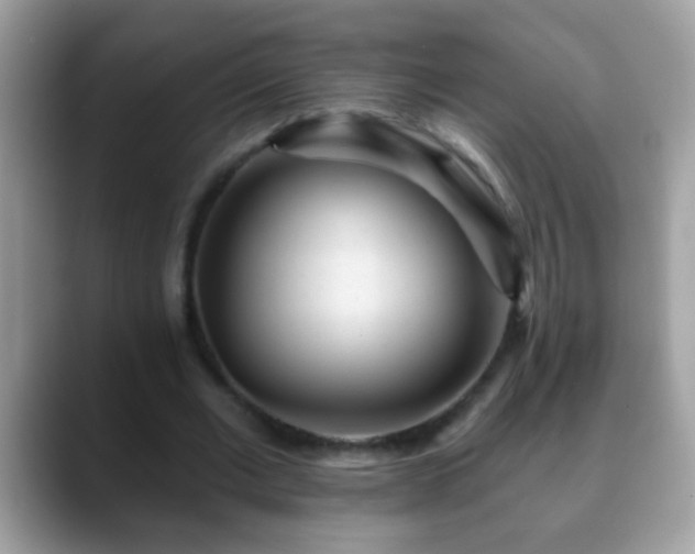 X0000088630677200706011145