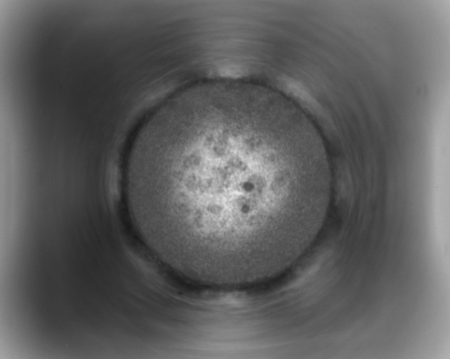 X0000088630683200706011145