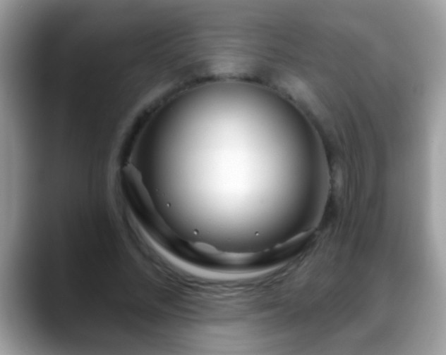 X0000088630684200706011145