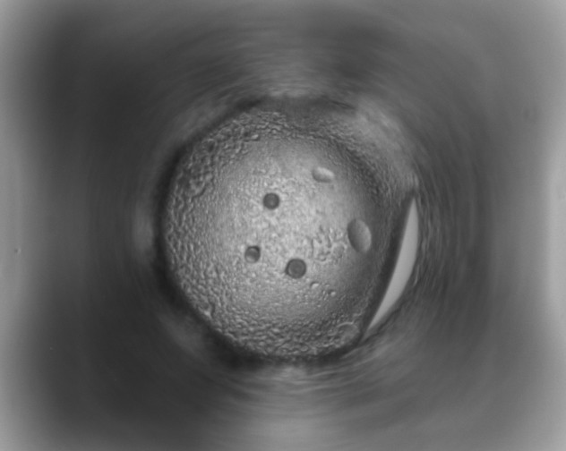 X0000088630687200706011145