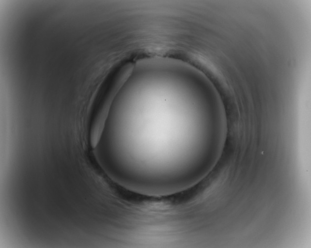 X0000088630689200706011145