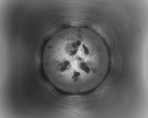 X0000088630691200706011145