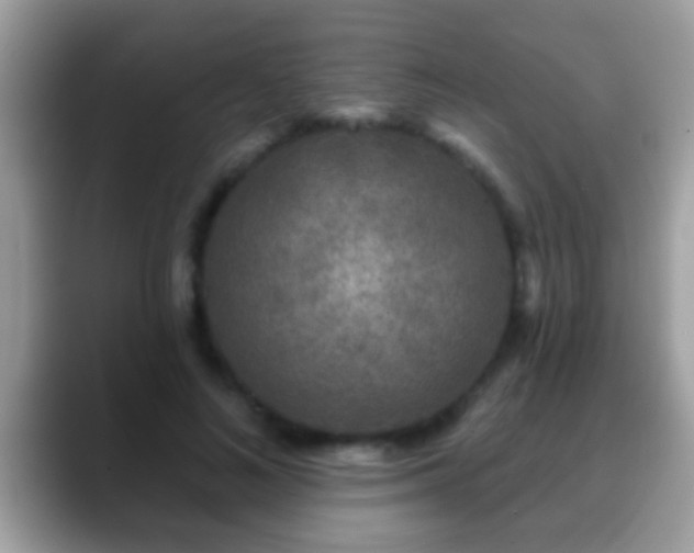 X0000088630692200706011145