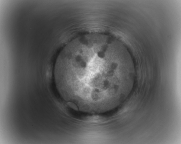 X0000088630695200706011145