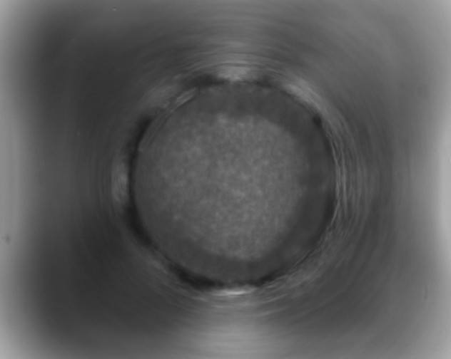 X0000088630696200706011145