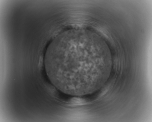 X0000088630699200706011145