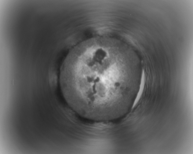 X0000088630703200706011145