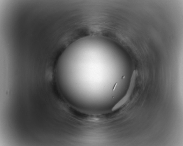 X0000088630706200706011145