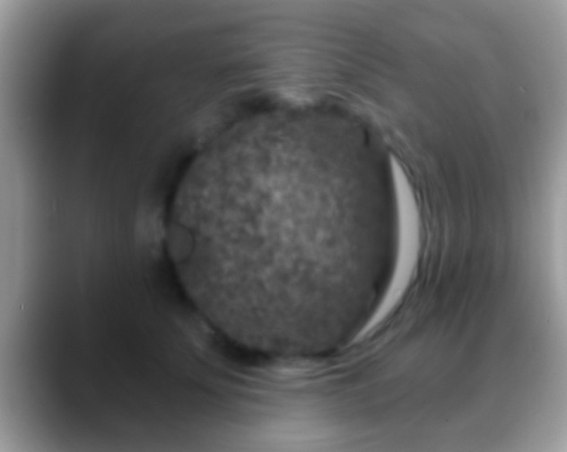 X0000088630707200706011145