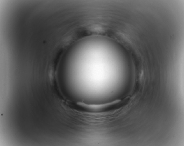 X0000088630708200706011145